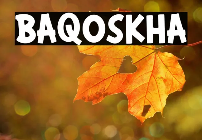 BAQOSKHA Example 1