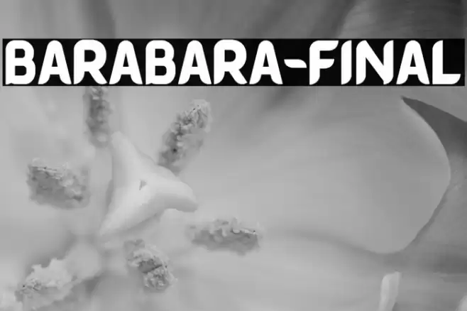 BARABARA-FINAL Font examples