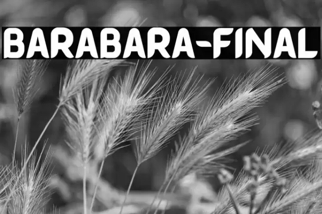 BARABARA-FINAL Font examples
