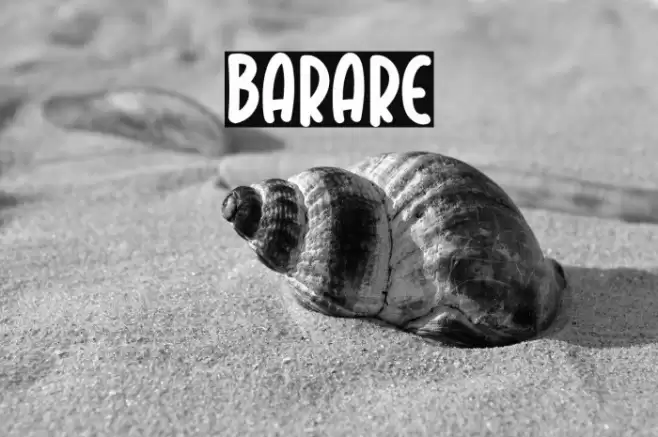 BARARE Шрифта examples