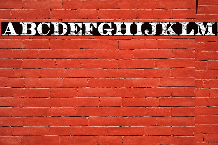 BARBARA PERSONAL USE Regular Example 1