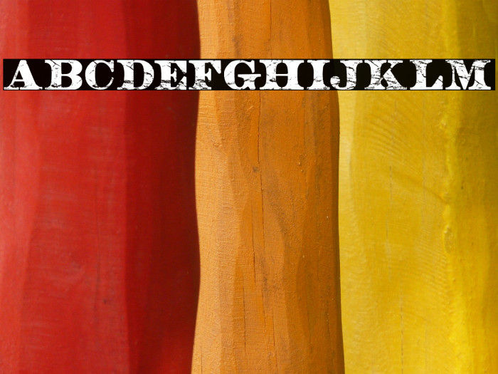 BARBARA PERSONAL USE Regular Example 3