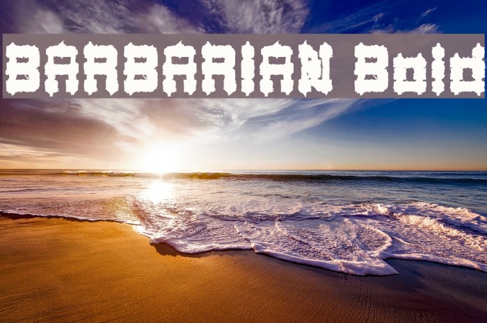 BARBARIAN Bold Example 1