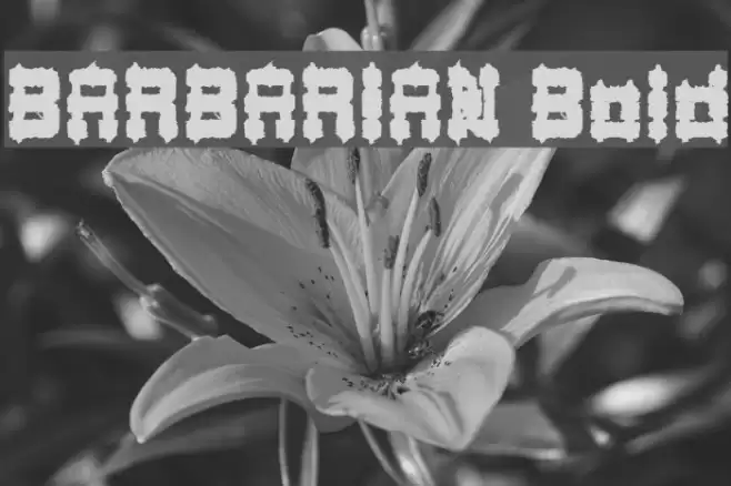 BARBARIAN Bold Font examples