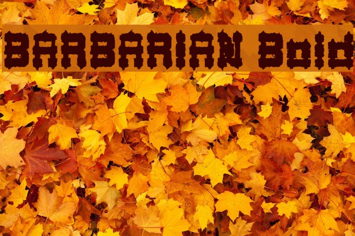 BARBARIAN Bold Example 3