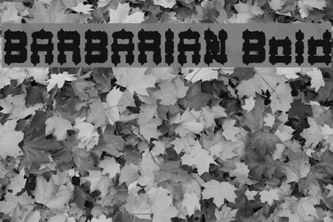 BARBARIAN Bold Font examples