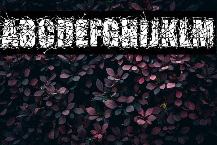 BARBEDWIRE PERSONAL USE Bold Example 1