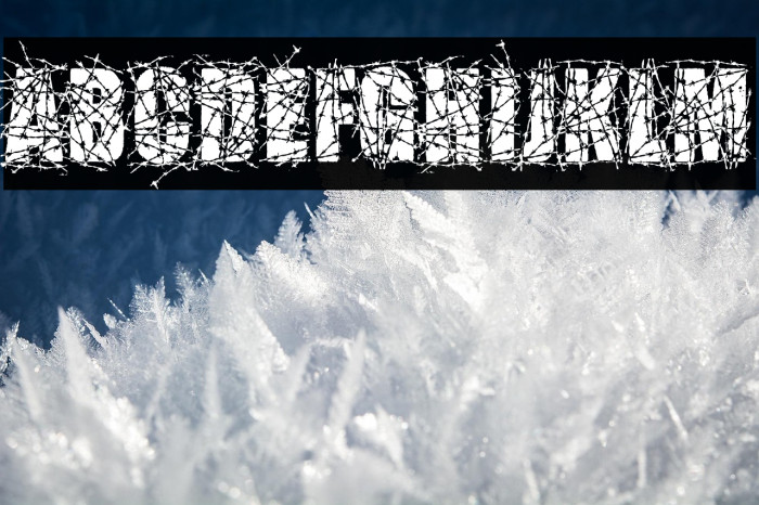 BARBEDWIRE PERSONAL USE Bold Example 3