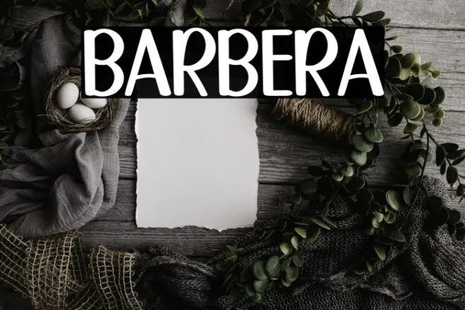 BARBERA Example 1