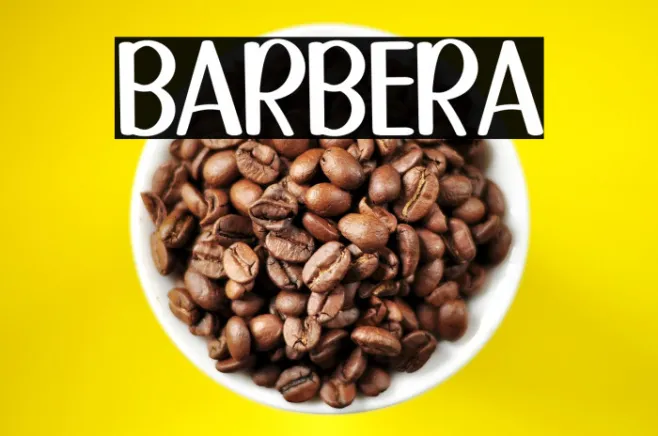 BARBERA Example 2