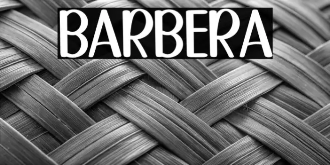 BARBERA Example 3