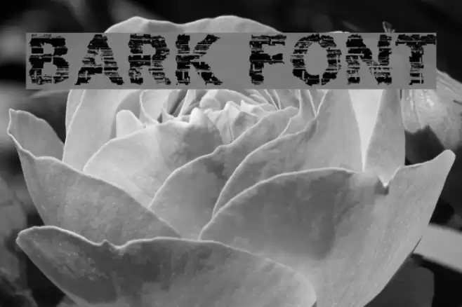 BARK Font examples