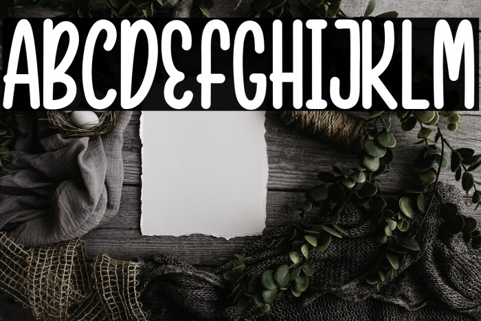 BARNIE KIDS Example 3