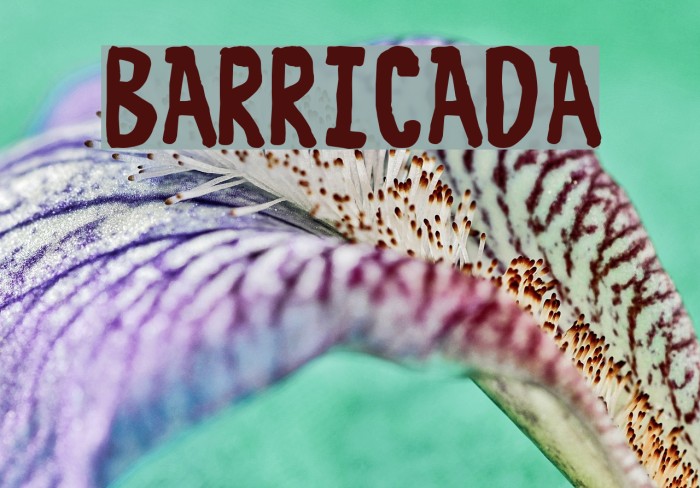 BARRICADA Font examples