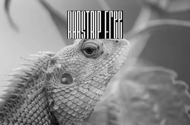 BARSTRIP Free Font examples