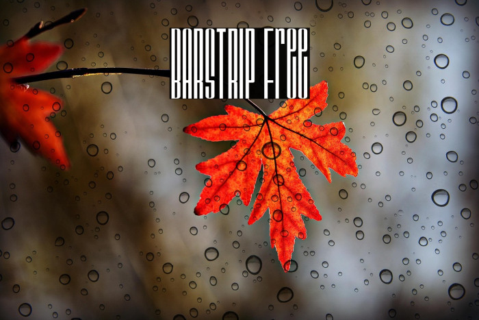 BARSTRIP Free Example 2