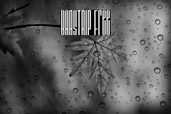 BARSTRIP Free Font examples