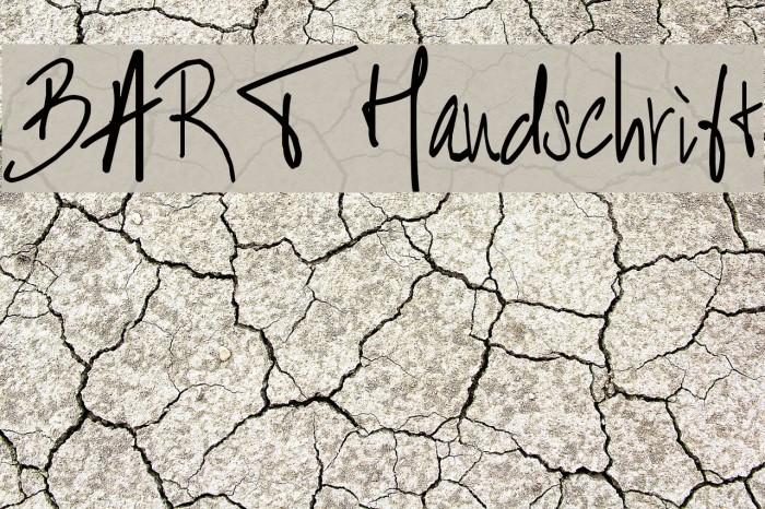 BART Handschrift Font examples