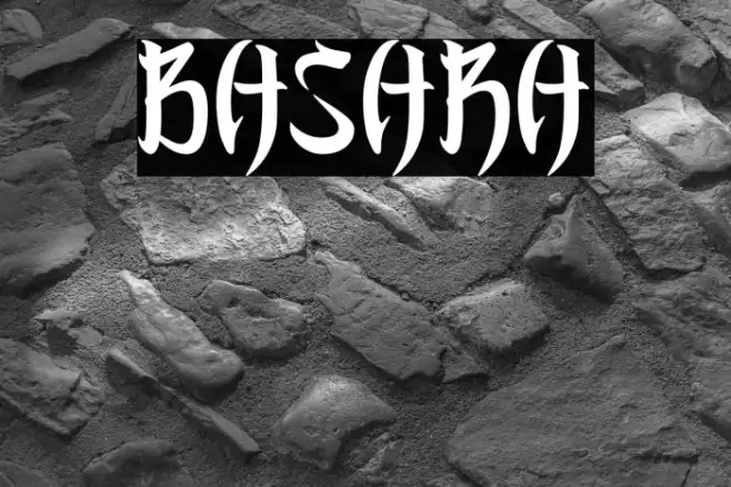 BASARA Example 1