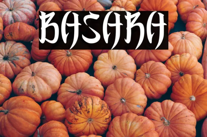 BASARA Example 2