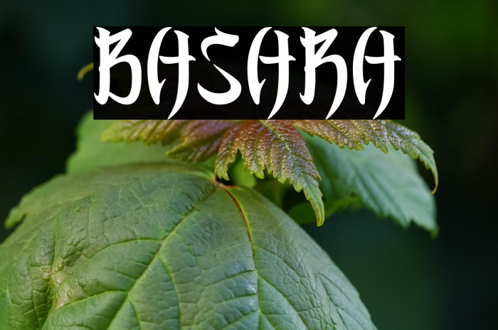 BASARA Example 3