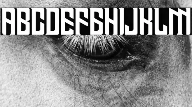 BASTERU Font examples