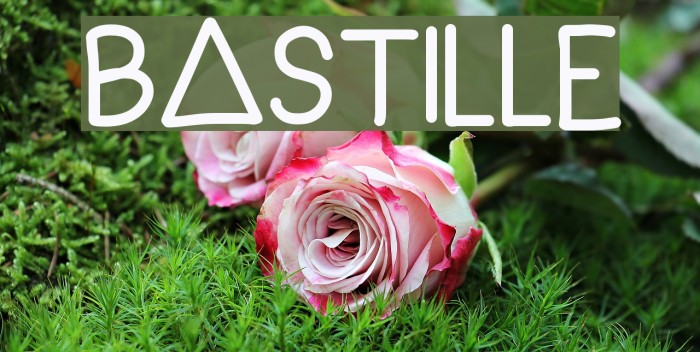 BASTILLE Example 1