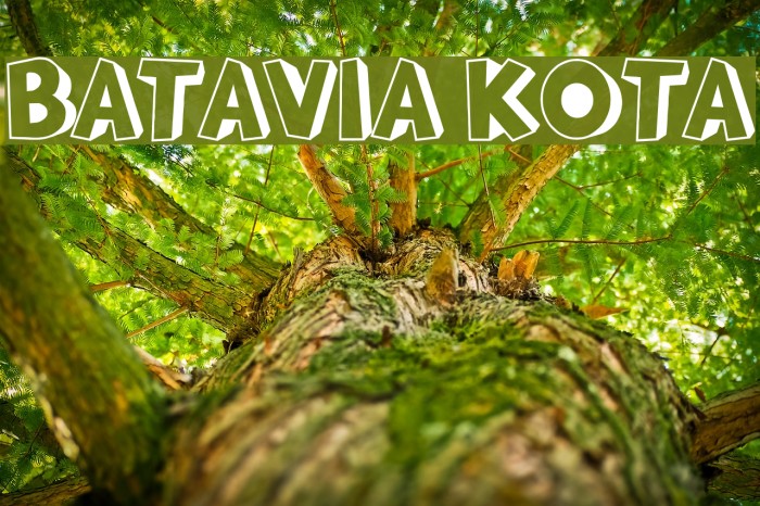 BATAVIA KOTA Font examples