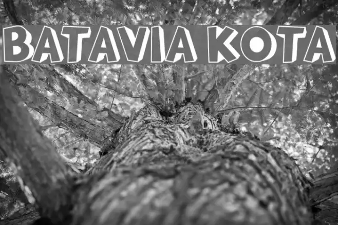 BATAVIA KOTA Example 1