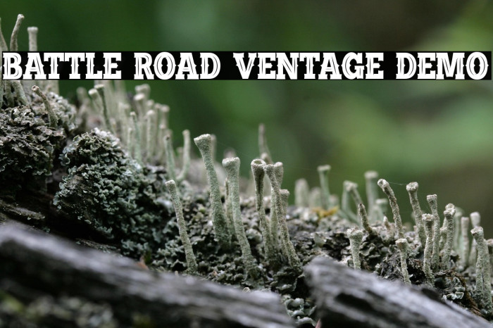 BATTLE ROAD VENTAGE DEMO Example 1