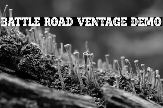 BATTLE ROAD VENTAGE DEMO Font examples