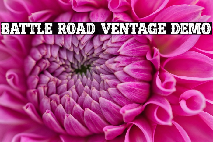 BATTLE ROAD VENTAGE DEMO Example 2