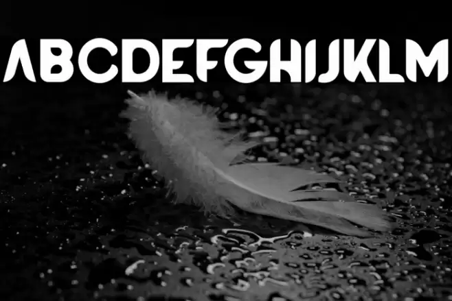 BATTLEROYALEFONT-Bold Font examples