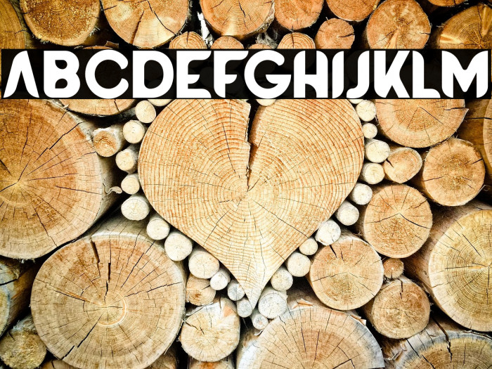 BATTLEROYALEFONT-Bold Example 2