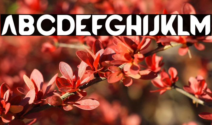 BATTLEROYALEFONT-Bold Example 3