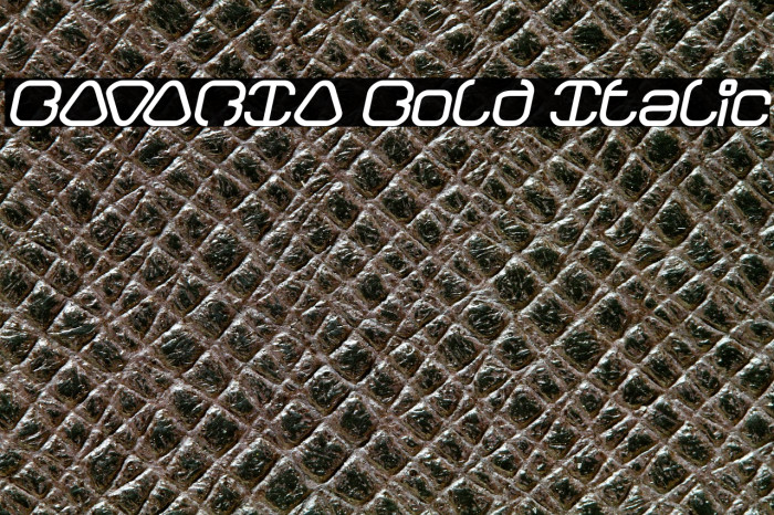 BAVARIA Bold Italic Example 3