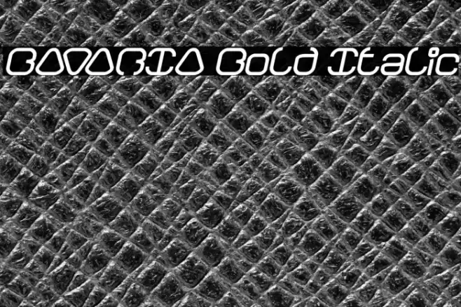 BAVARIA Bold Italic Font examples