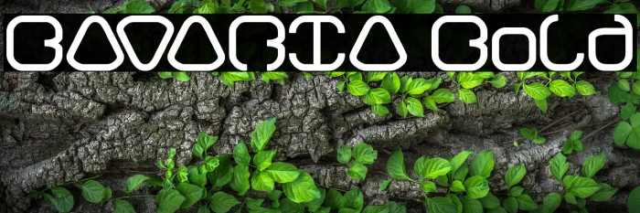 BAVARIA Bold Example 2