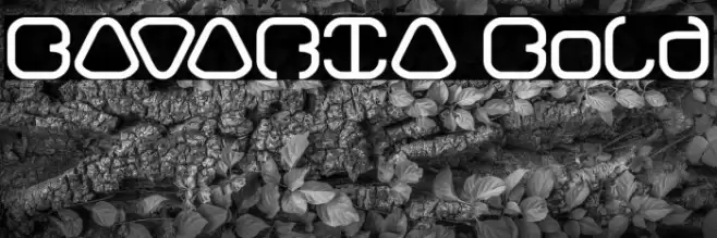 BAVARIA Bold Font examples