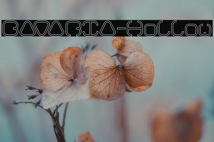 BAVARIA-Hollow Example 1