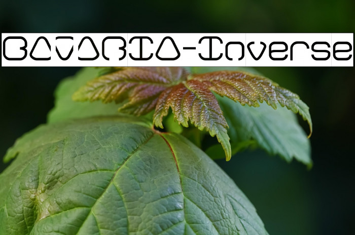 BAVARIA-Inverse Example 1