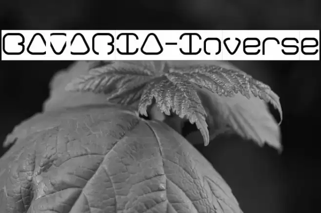 BAVARIA-Inverse Font examples