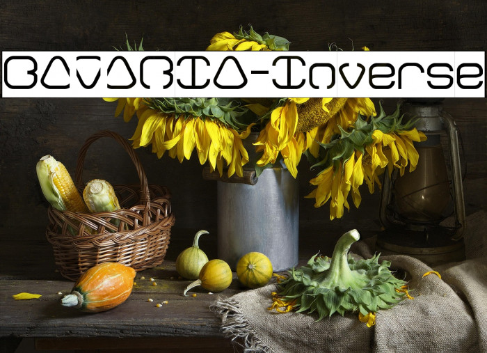 BAVARIA-Inverse Example 3