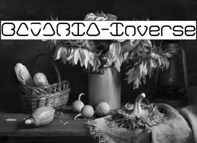 BAVARIA-Inverse Font examples