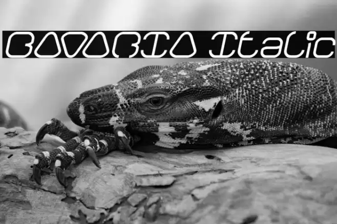 BAVARIA Italic Font examples