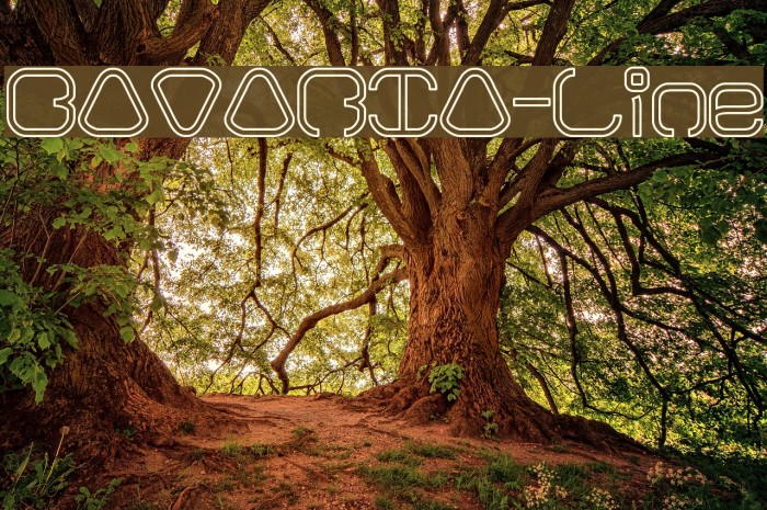 BAVARIA-Line Font examples