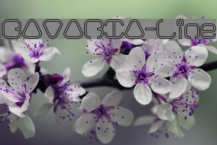 BAVARIA-Line Font examples