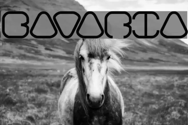 BAVARIA Font examples