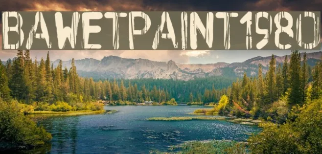 BAWetPaint-1980 Example 1