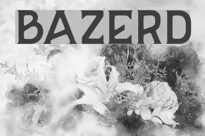 BAZERD Font examples